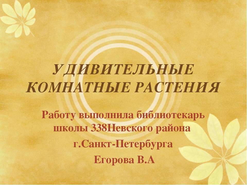Удивительные комнатные растения  - Скачать презентации бесплатно | Читать или скачать учебники для школы онлайн бесплатно ☑ Школьные учебники school-textbook.com
