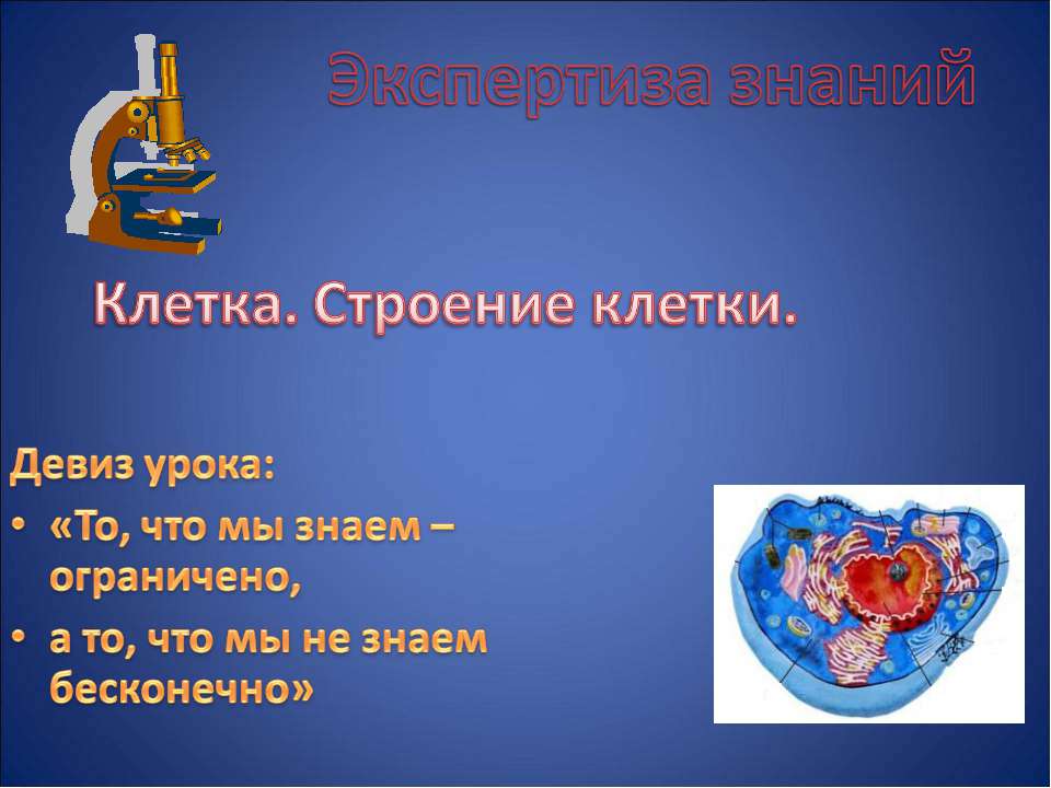 Клетка. Строение клетки  - Скачать презентации бесплатно | Читать или скачать учебники для школы онлайн бесплатно ☑ Школьные учебники school-textbook.com
