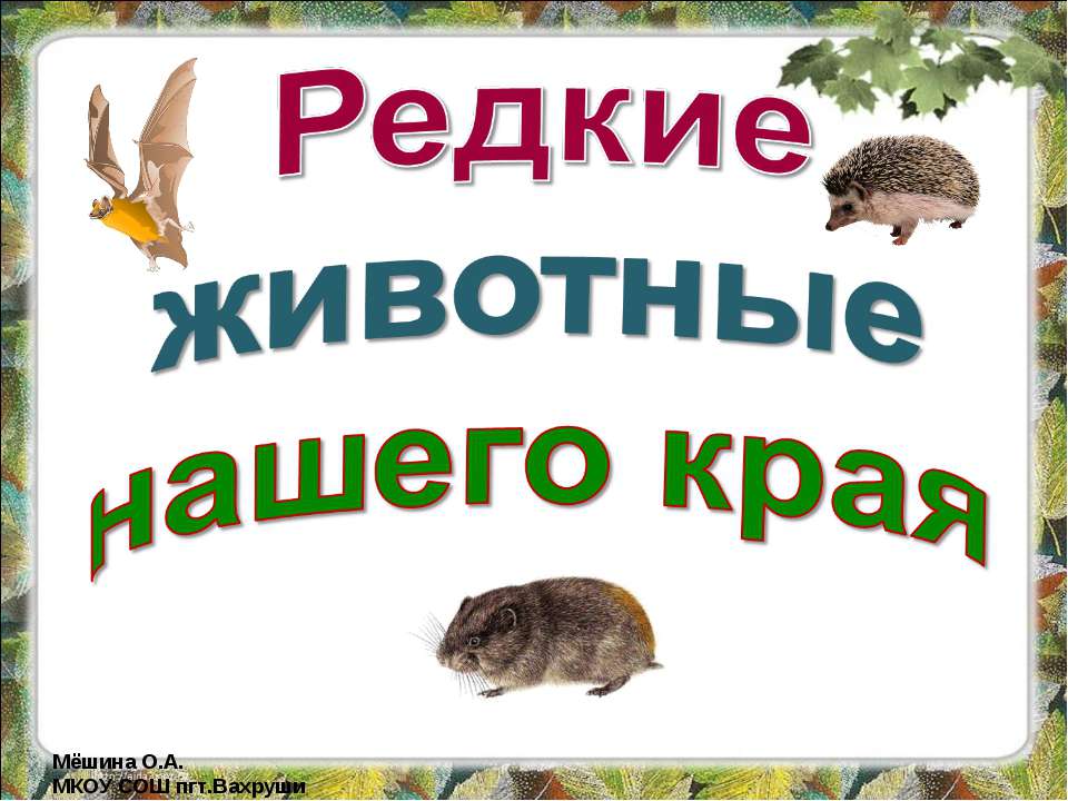 Редкие животные нашего края  - Скачать презентации бесплатно | Читать или скачать учебники для школы онлайн бесплатно ☑ Школьные учебники school-textbook.com