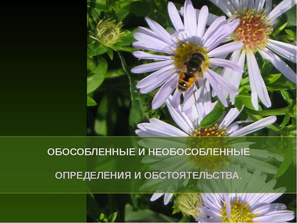 Обособленные и необособленные определения и обстоятельства  - Скачать презентации бесплатно | Читать или скачать учебники для школы онлайн бесплатно ☑ Школьные учебники school-textbook.com