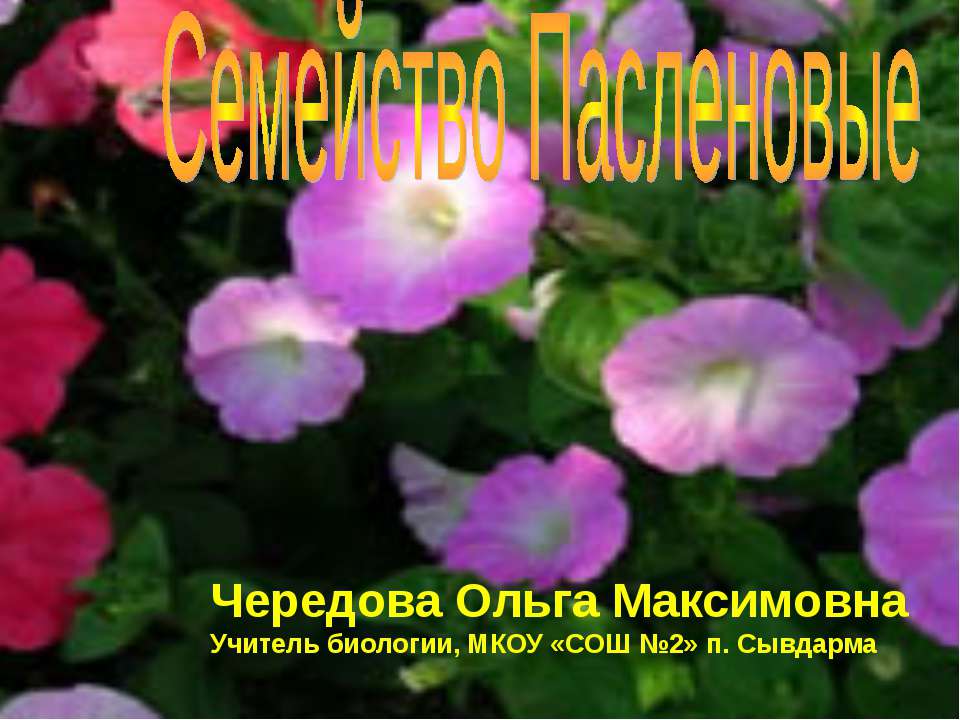 Семейство Пасленовые  - Скачать презентации бесплатно | Читать или скачать учебники для школы онлайн бесплатно ☑ Школьные учебники school-textbook.com
