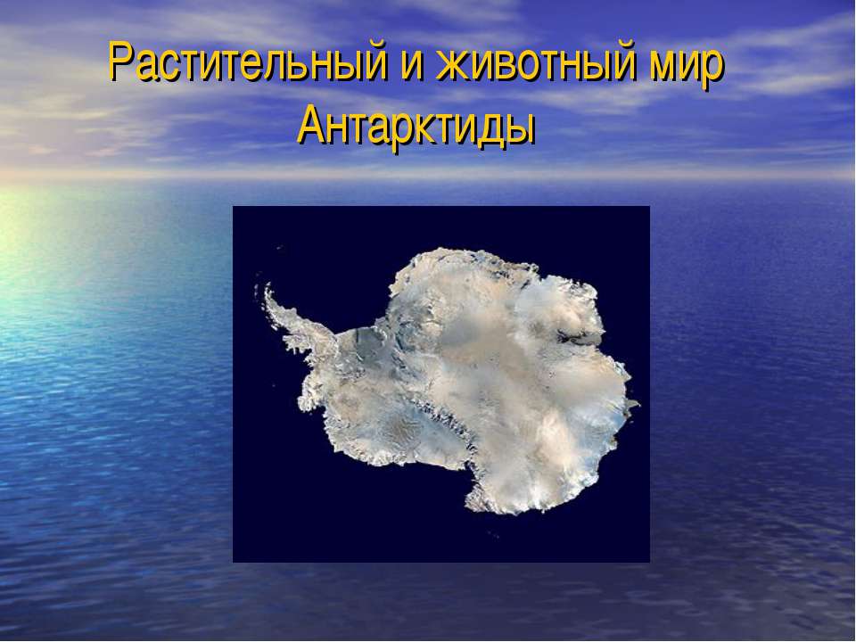 Растительный и животный мир Антарктиды  - Скачать презентации бесплатно | Читать или скачать учебники для школы онлайн бесплатно ☑ Школьные учебники school-textbook.com