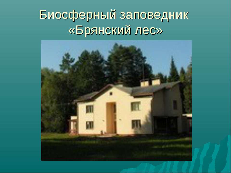 Биосферный заповедник «Брянский лес»  - Скачать презентации бесплатно | Читать или скачать учебники для школы онлайн бесплатно ☑ Школьные учебники school-textbook.com