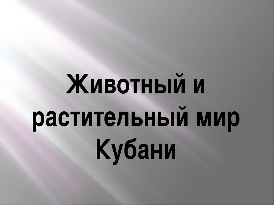 Животный и растительный мир Кубани  - Скачать презентации бесплатно | Читать или скачать учебники для школы онлайн бесплатно ☑ Школьные учебники school-textbook.com
