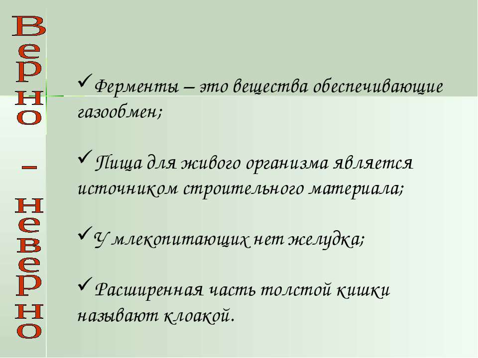 Кровеносная система. Кровь  - Скачать презентации бесплатно | Читать или скачать учебники для школы онлайн бесплатно ☑ Школьные учебники school-textbook.com