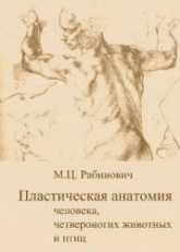 Пластическая анатомия человека, четвероногих животных и птиц и ее применение в рисунке - Рабинович М.Ц.  - Скачать презентации бесплатно | Читать или скачать учебники для школы онлайн бесплатно ☑ Школьные учебники school-textbook.com