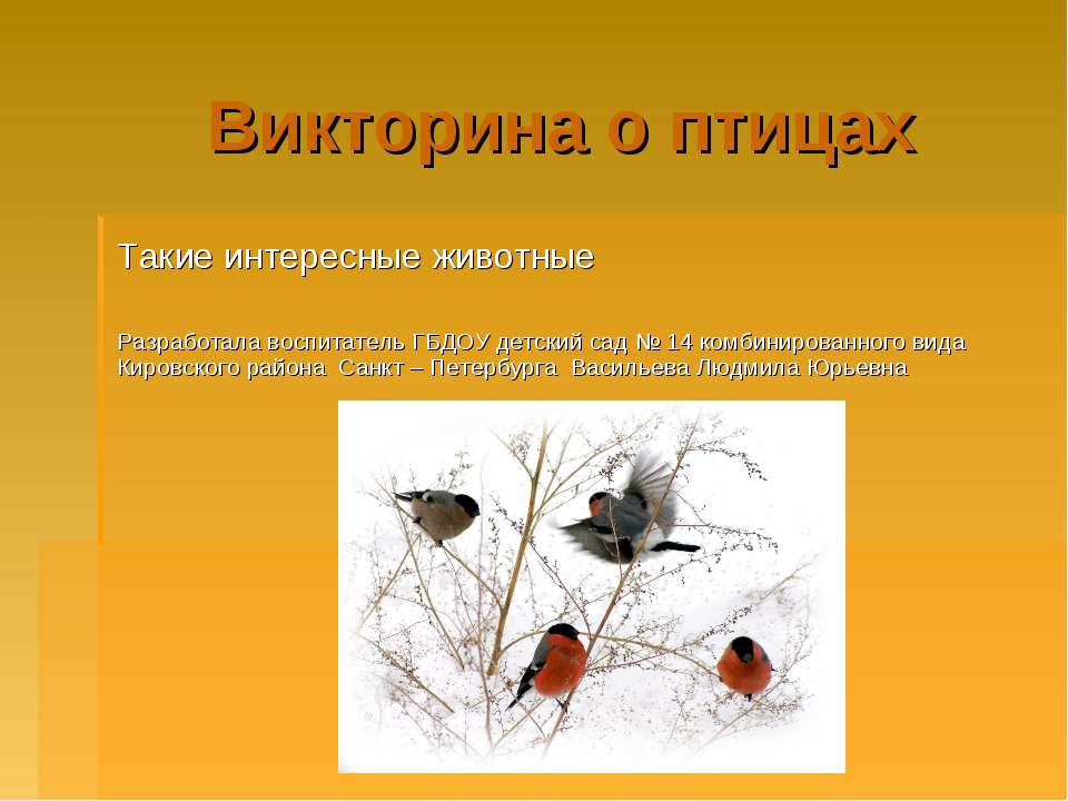 Викторина о птицах  - Скачать презентации бесплатно | Читать или скачать учебники для школы онлайн бесплатно ☑ Школьные учебники school-textbook.com
