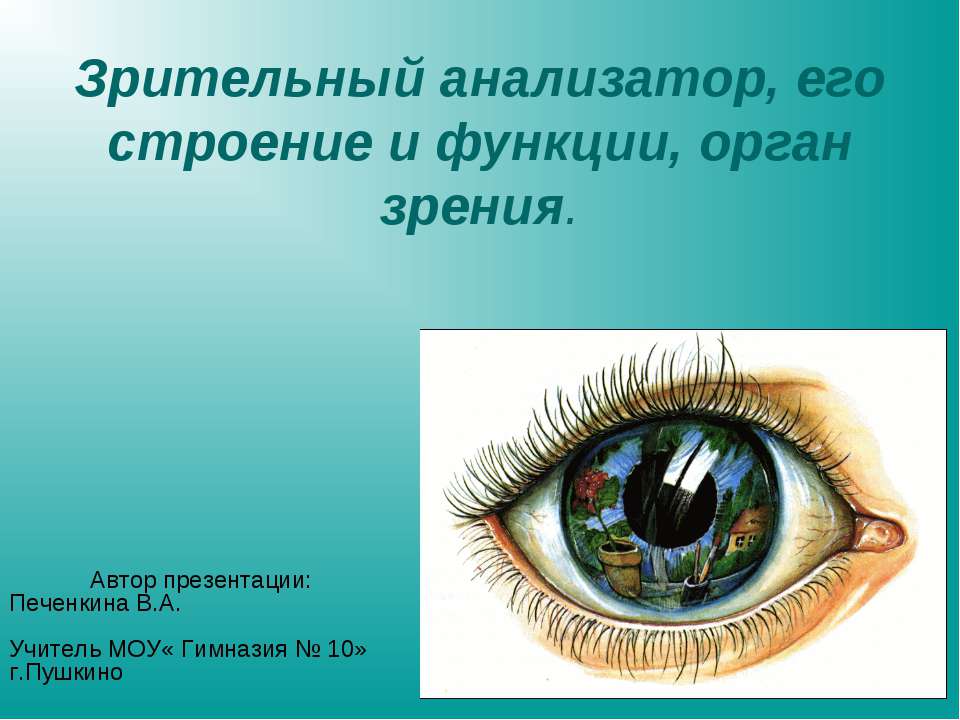 Зрительный анализатор, его строение и функции, орган зрения  - Скачать презентации бесплатно | Читать или скачать учебники для школы онлайн бесплатно ☑ Школьные учебники school-textbook.com