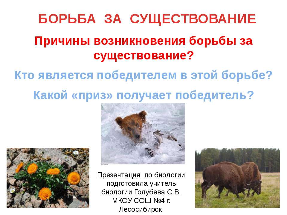 Борьба за существования  - Скачать презентации бесплатно | Читать или скачать учебники для школы онлайн бесплатно ☑ Школьные учебники school-textbook.com
