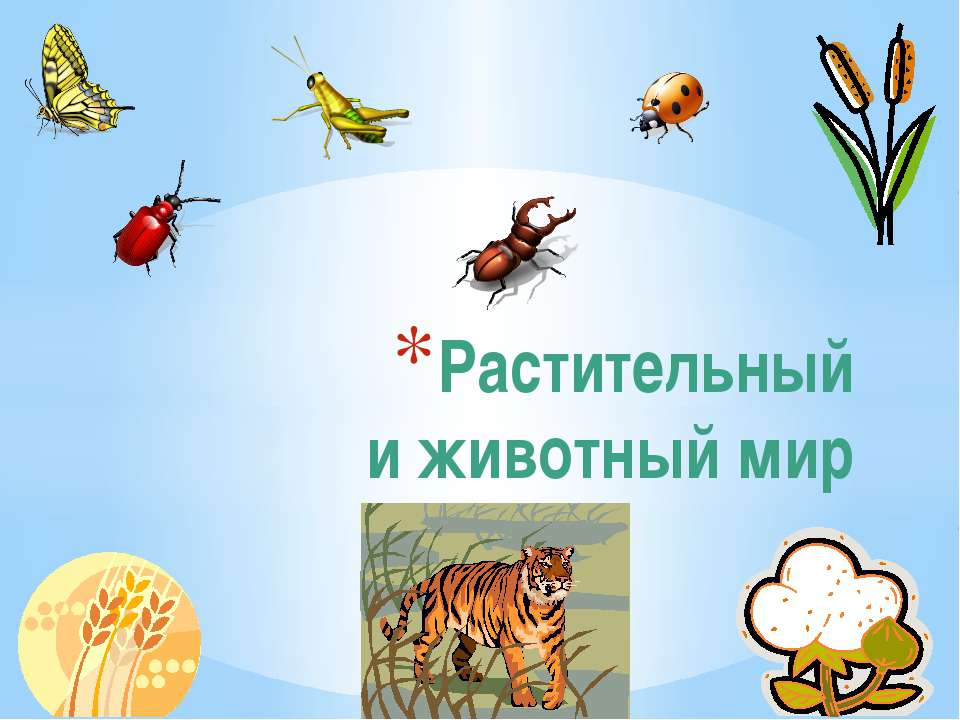 Растительный и животный мир  - Скачать презентации бесплатно | Читать или скачать учебники для школы онлайн бесплатно ☑ Школьные учебники school-textbook.com