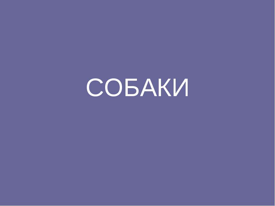 СОБАКИ  - Скачать презентации бесплатно | Читать или скачать учебники для школы онлайн бесплатно ☑ Школьные учебники school-textbook.com