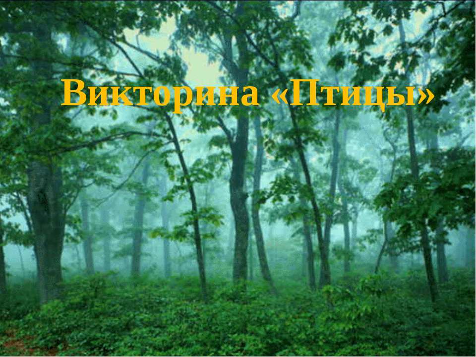 Викторина «Птицы» - Скачать презентации бесплатно ☑ Презентации по предметам на gdz-books.ru