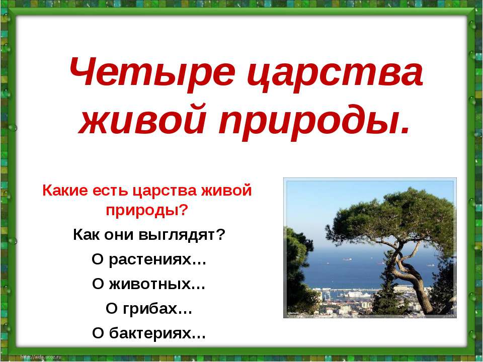 4 царства - Скачать презентации бесплатно ☑ Презентации по предметам на gdz-books.ru
