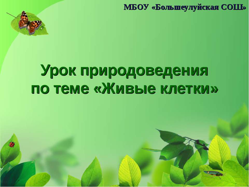 Живые клетки  - Скачать презентации бесплатно | Читать или скачать учебники для школы онлайн бесплатно ☑ Школьные учебники school-textbook.com