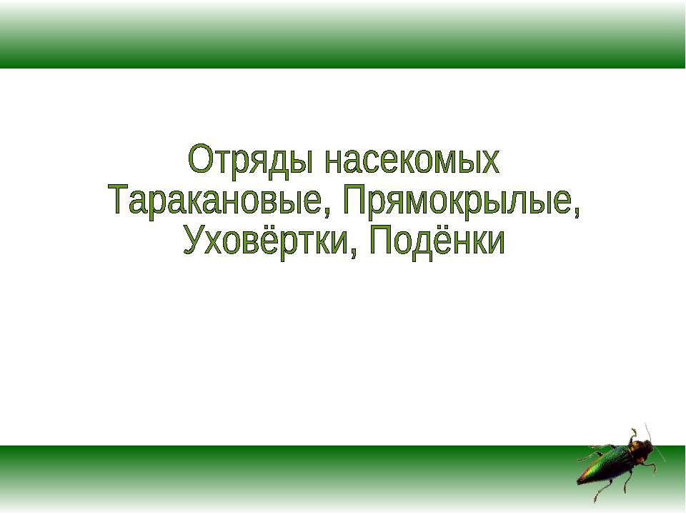 Отряды насекомых Таракановые, Прямокрылые, Уховёртки, Подёнки - Скачать презентации бесплатно ☑ Презентации по предметам на gdz-books.ru
