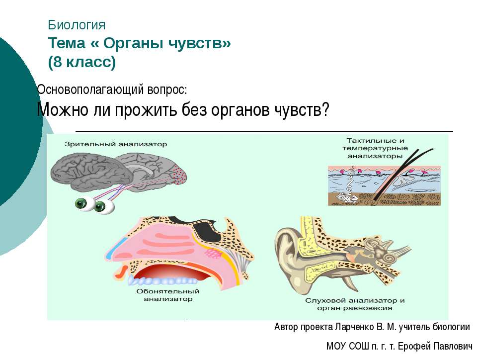 Органы чувств 8 класс - Скачать презентации бесплатно ☑ Презентации по предметам на gdz-books.ru