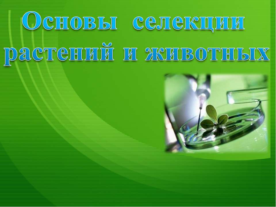 Основы селекции растений и животных  - Скачать презентации бесплатно | Читать или скачать учебники для школы онлайн бесплатно ☑ Школьные учебники school-textbook.com