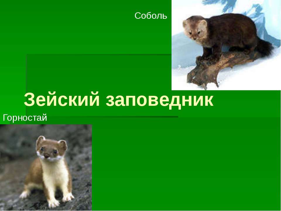 Зейский заповедник - Скачать презентации бесплатно ☑ Презентации по предметам на gdz-books.ru