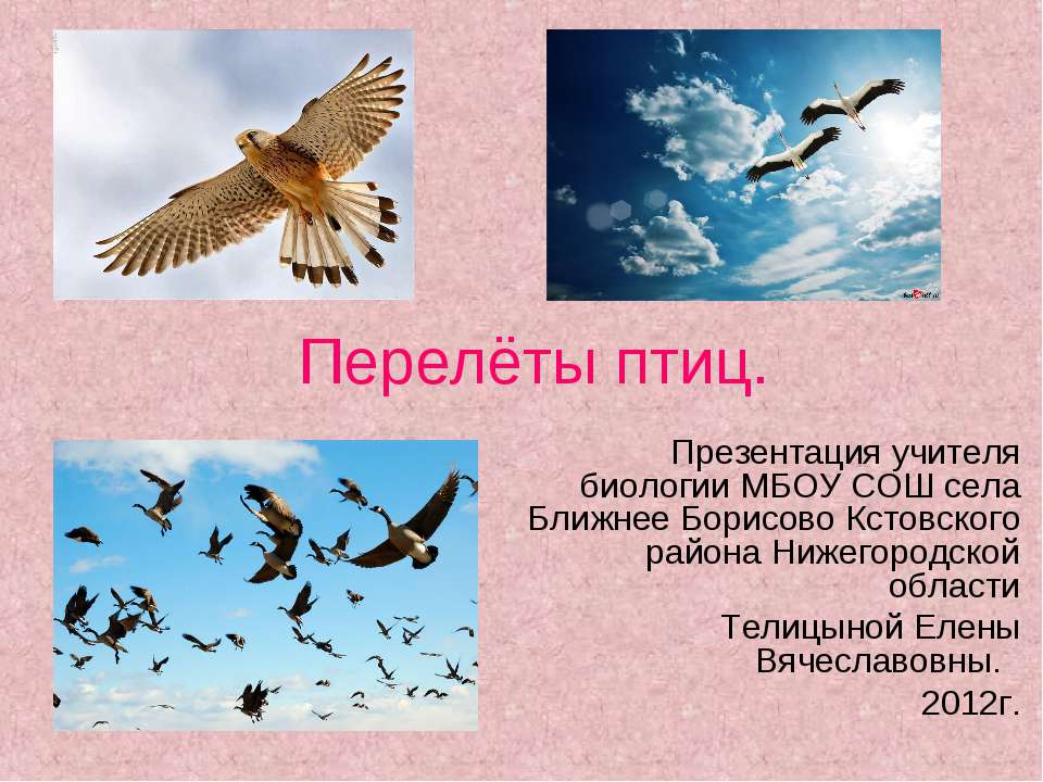 Перелёты птиц  - Скачать презентации бесплатно | Читать или скачать учебники для школы онлайн бесплатно ☑ Школьные учебники school-textbook.com