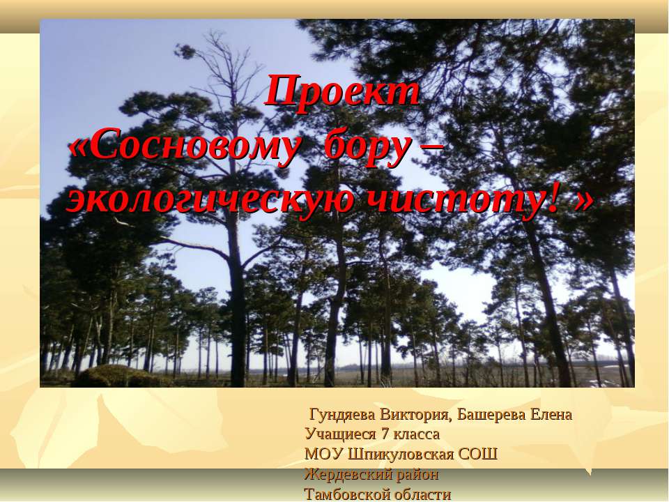 Сосновому бору – экологическую чистоту! - Скачать презентации бесплатно ☑ Презентации по предметам на gdz-books.ru