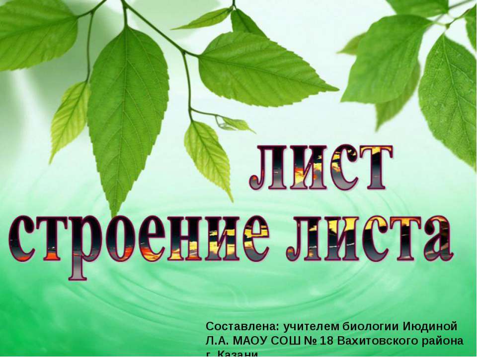 Лист. Строение листа - Скачать презентации бесплатно ☑ Презентации по предметам на gdz-books.ru