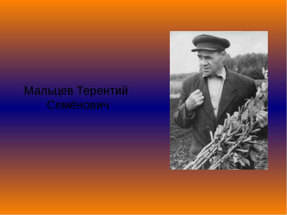 Мальцев Терентий Семёнович  - Скачать презентации бесплатно | Читать или скачать учебники для школы онлайн бесплатно ☑ Школьные учебники school-textbook.com