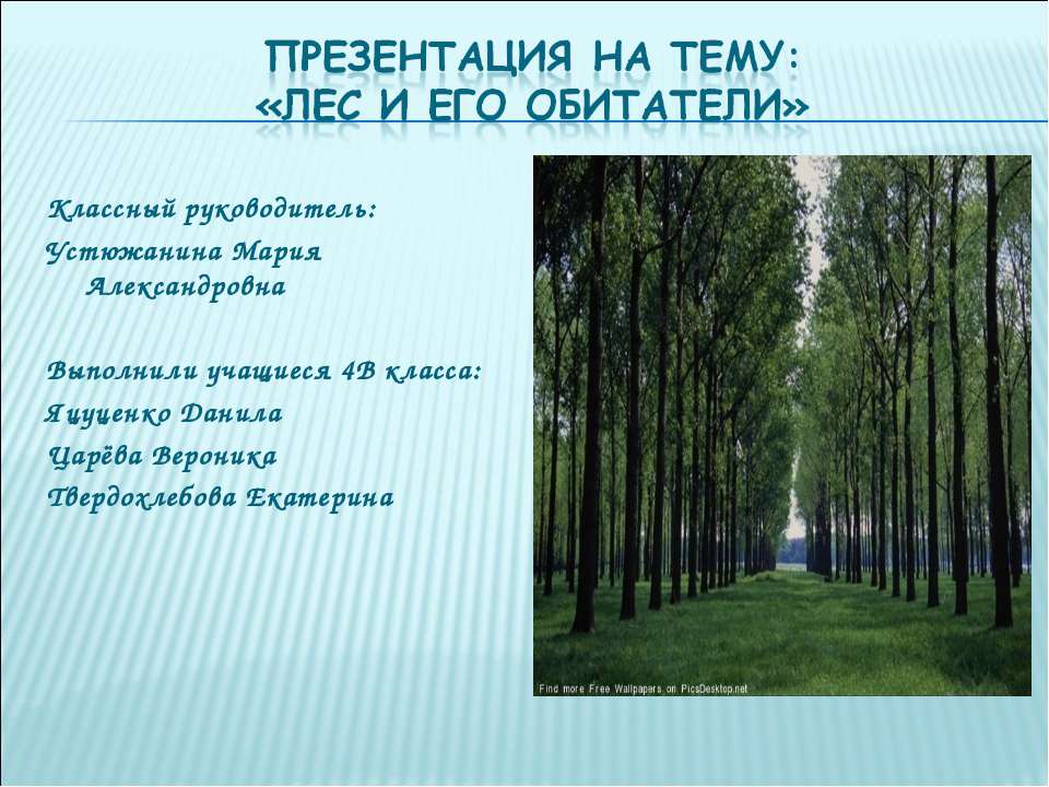 Лес и его обитатели  - Скачать презентации бесплатно | Читать или скачать учебники для школы онлайн бесплатно ☑ Школьные учебники school-textbook.com