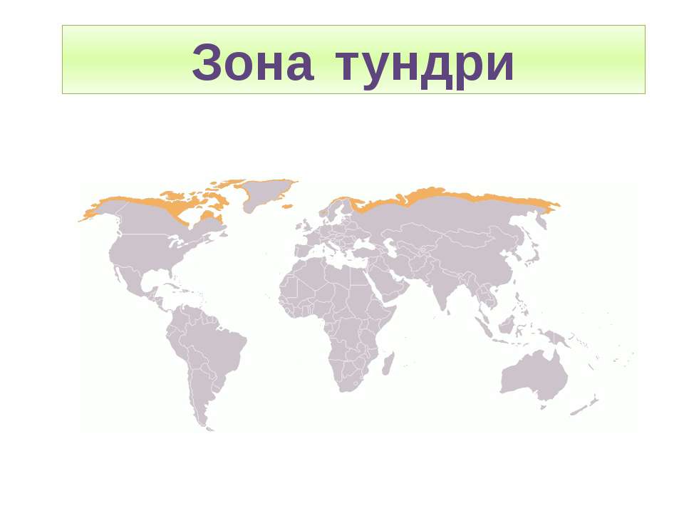 Зона тундри  - Скачать презентации бесплатно | Читать или скачать учебники для школы онлайн бесплатно ☑ Школьные учебники school-textbook.com