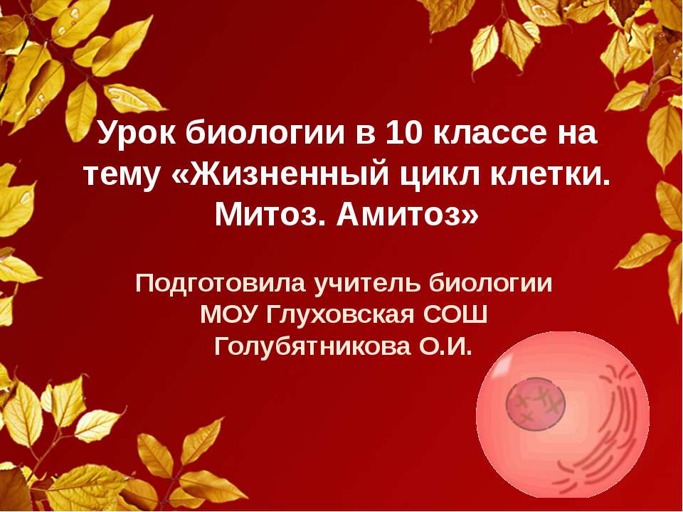 Жизненный цикл клетки. Митоз. Амитоз  - Скачать презентации бесплатно | Читать или скачать учебники для школы онлайн бесплатно ☑ Школьные учебники school-textbook.com