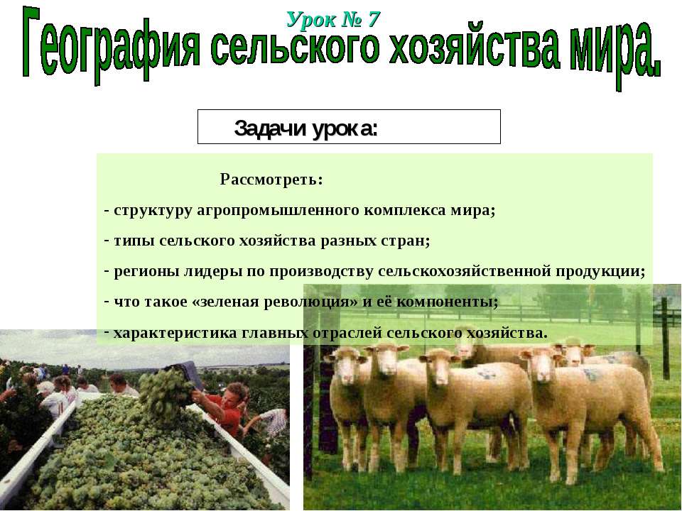 География сельского хозяйства мира  - Скачать презентации бесплатно | Читать или скачать учебники для школы онлайн бесплатно ☑ Школьные учебники school-textbook.com
