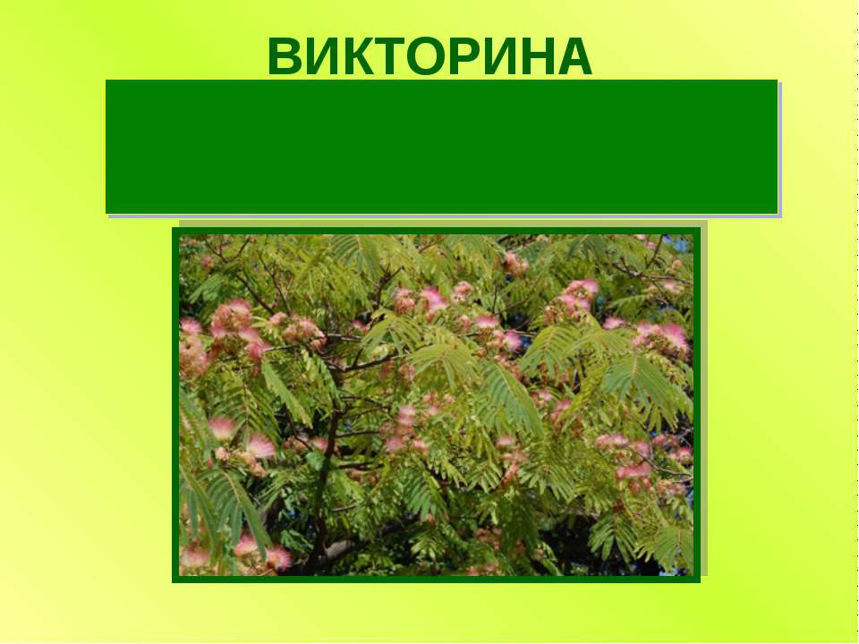 Знатоки природы  - Скачать презентации бесплатно | Читать или скачать учебники для школы онлайн бесплатно ☑ Школьные учебники school-textbook.com