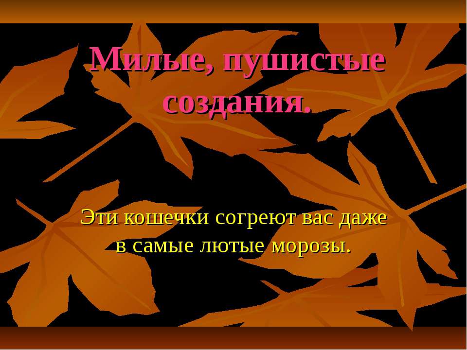 Милые, пушистые создания - Скачать презентации бесплатно ☑ Презентации по предметам на gdz-books.ru