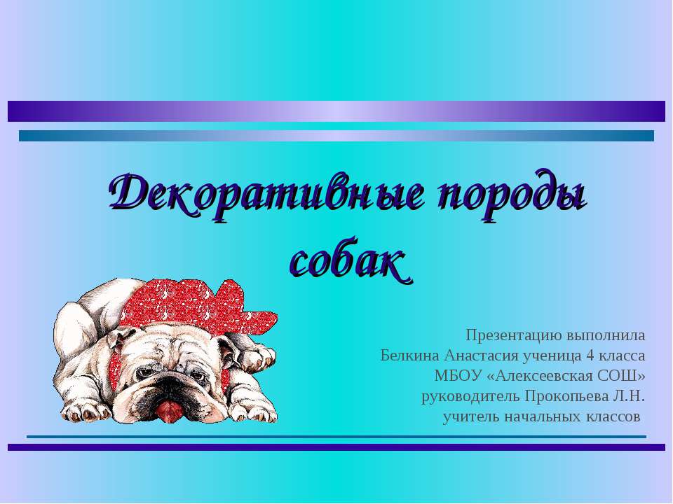 Декоративные породы собак. - Скачать презентации бесплатно ☑ Презентации по предметам на gdz-books.ru