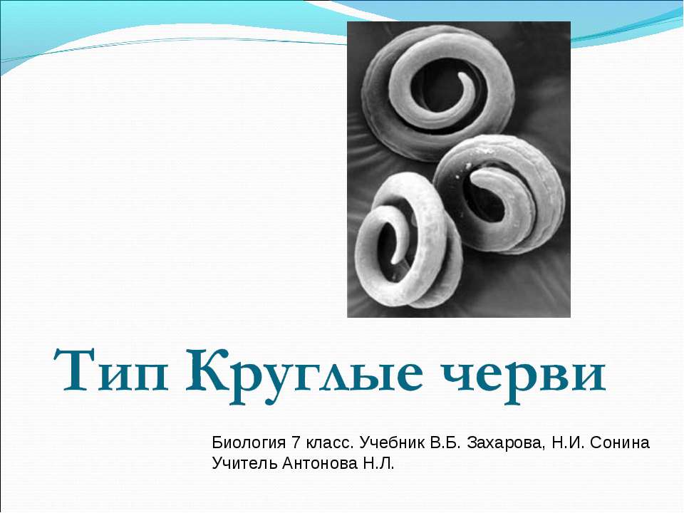 Тип Круглые черви  - Скачать презентации бесплатно | Читать или скачать учебники для школы онлайн бесплатно ☑ Школьные учебники school-textbook.com