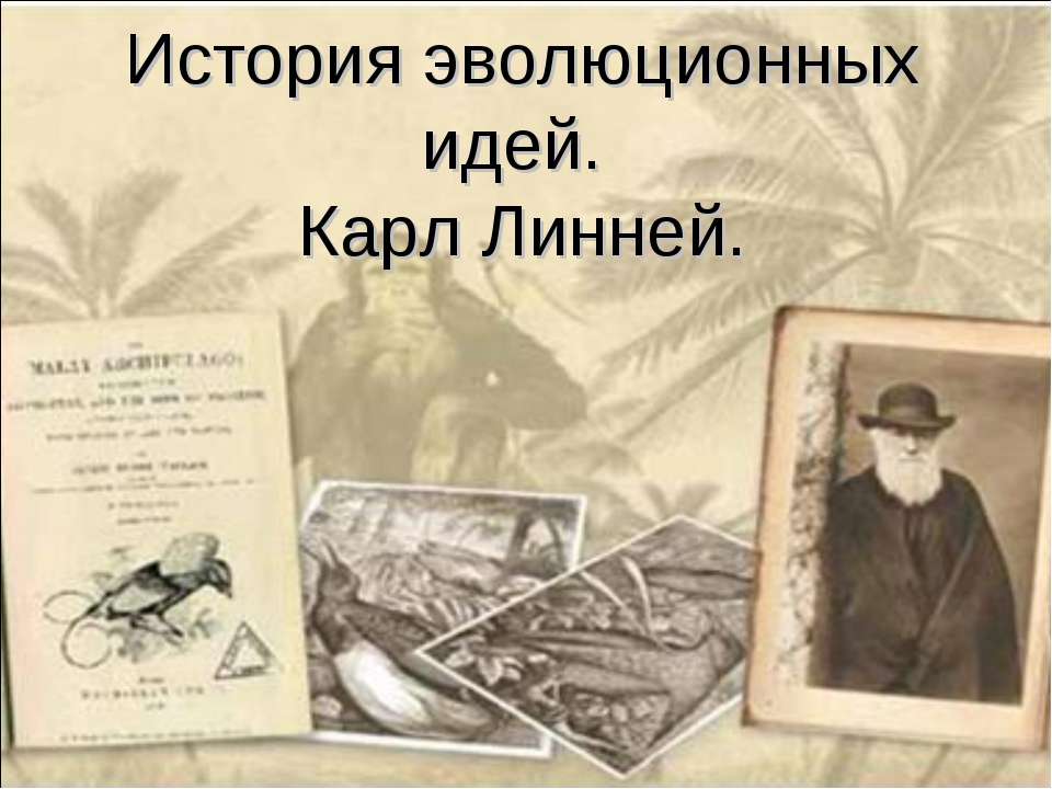 История эволюционных идей. Карл Линней  - Скачать презентации бесплатно | Читать или скачать учебники для школы онлайн бесплатно ☑ Школьные учебники school-textbook.com