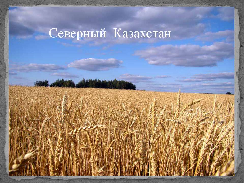 Северный Казахстан  - Скачать презентации бесплатно | Читать или скачать учебники для школы онлайн бесплатно ☑ Школьные учебники school-textbook.com