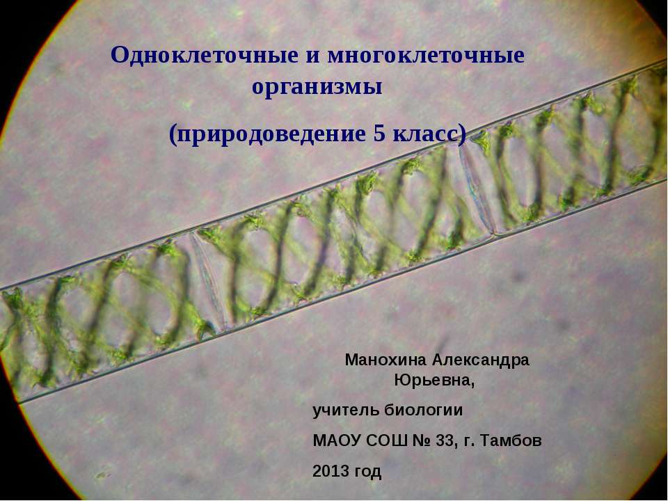 Одноклеточные и многоклеточные организмы - Скачать презентации бесплатно ☑ Презентации по предметам на gdz-books.ru