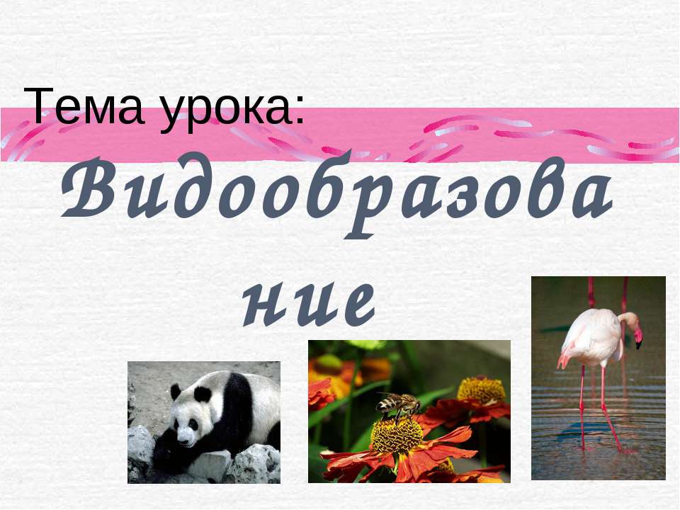 Видообразование  - Скачать презентации бесплатно | Читать или скачать учебники для школы онлайн бесплатно ☑ Школьные учебники school-textbook.com
