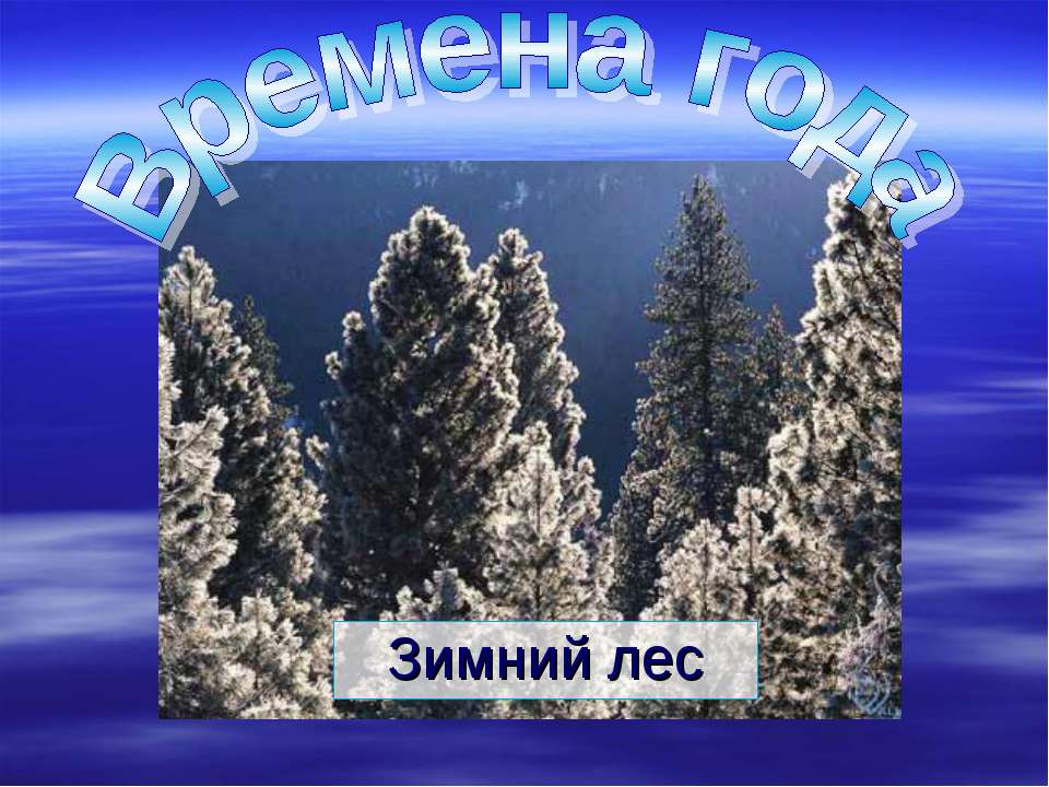 Времена года. Зимний лес  - Скачать презентации бесплатно | Читать или скачать учебники для школы онлайн бесплатно ☑ Школьные учебники school-textbook.com