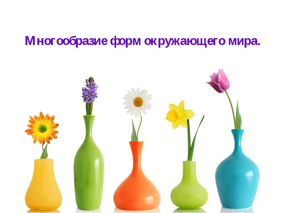 Многообразие форм окружающего мира  - Скачать презентации бесплатно | Читать или скачать учебники для школы онлайн бесплатно ☑ Школьные учебники school-textbook.com