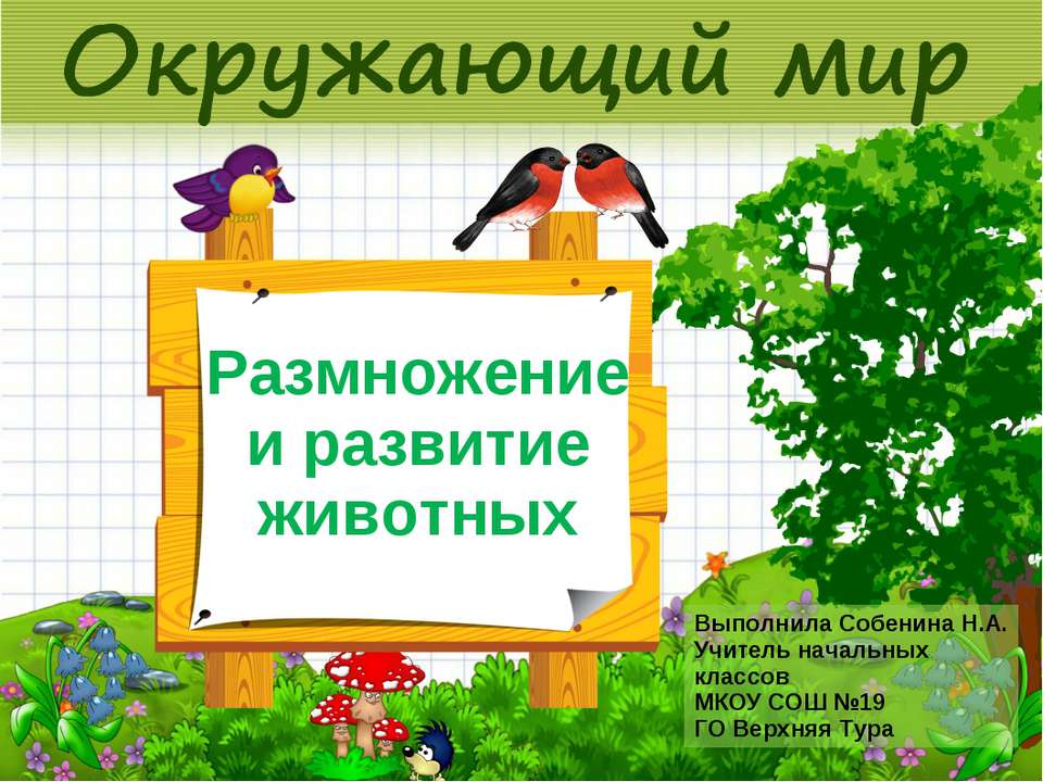 Размножение и развитие животных 2 класс  - Скачать презентации бесплатно | Читать или скачать учебники для школы онлайн бесплатно ☑ Школьные учебники school-textbook.com