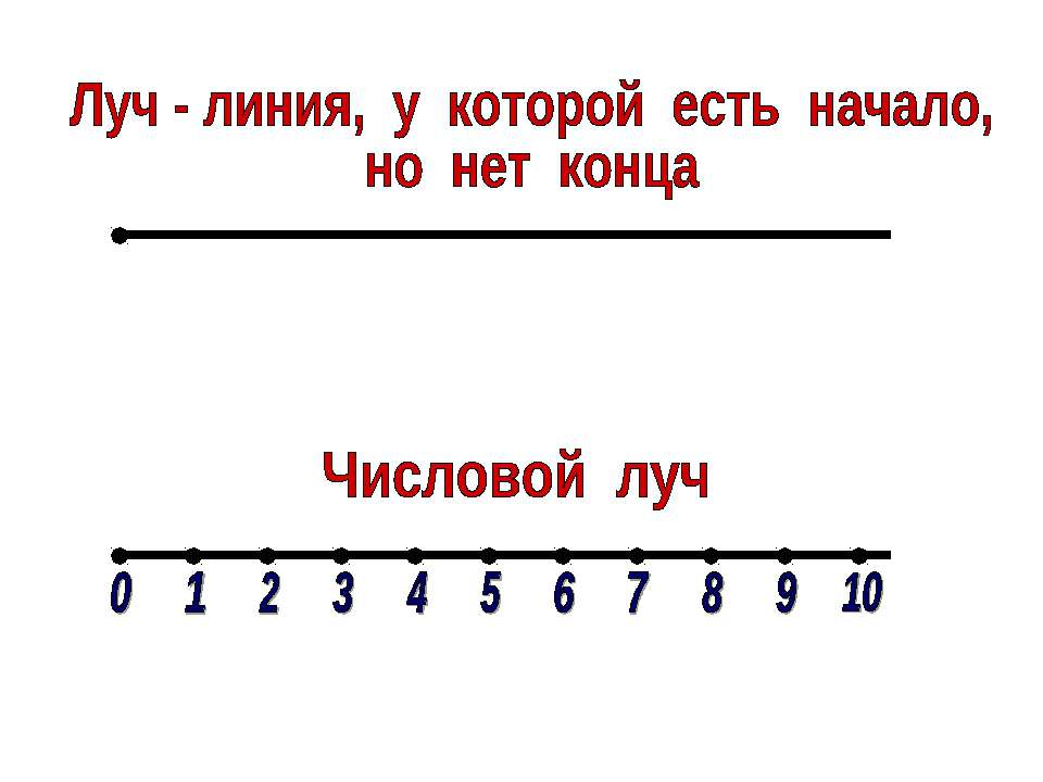 Числовой луч  - Скачать презентации бесплатно | Читать или скачать учебники для школы онлайн бесплатно ☑ Школьные учебники school-textbook.com