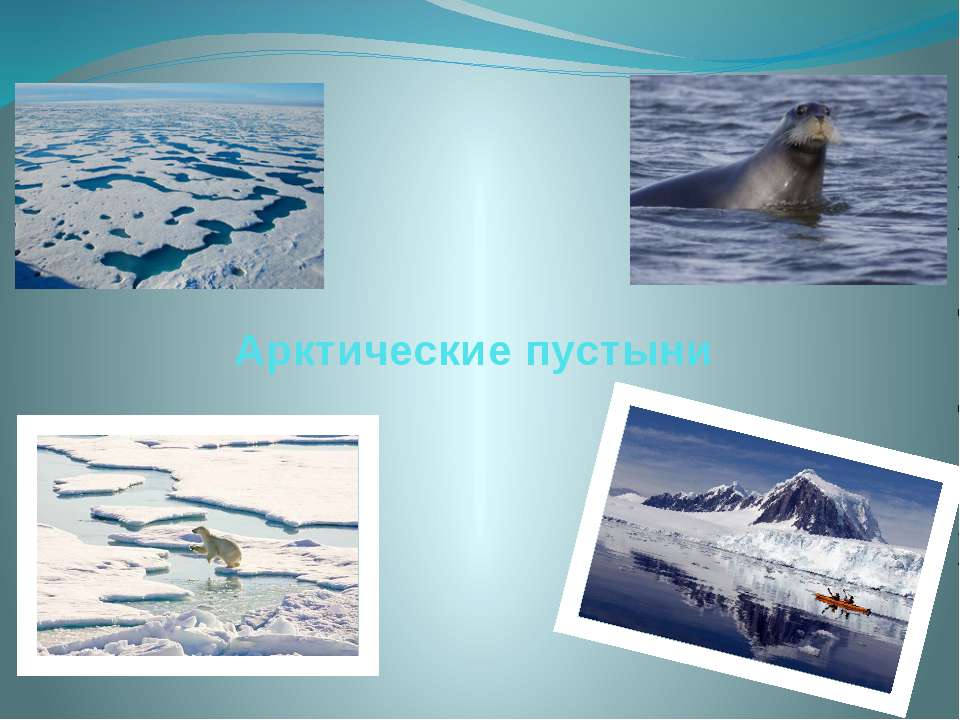 Арктические пустыни  - Скачать презентации бесплатно | Читать или скачать учебники для школы онлайн бесплатно ☑ Школьные учебники school-textbook.com