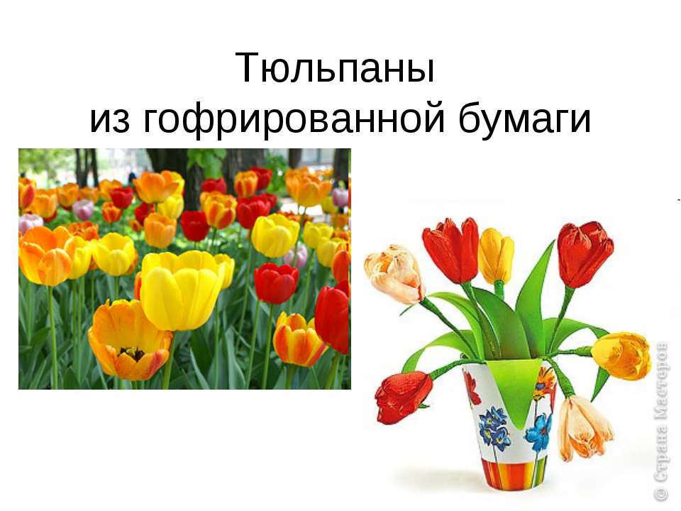 Тюльпаны из гофрированной бумаги  - Скачать презентации бесплатно | Читать или скачать учебники для школы онлайн бесплатно ☑ Школьные учебники school-textbook.com