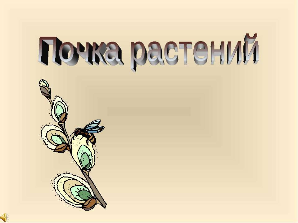 Почка растений - Скачать презентации бесплатно ☑ Презентации по предметам на gdz-books.ru