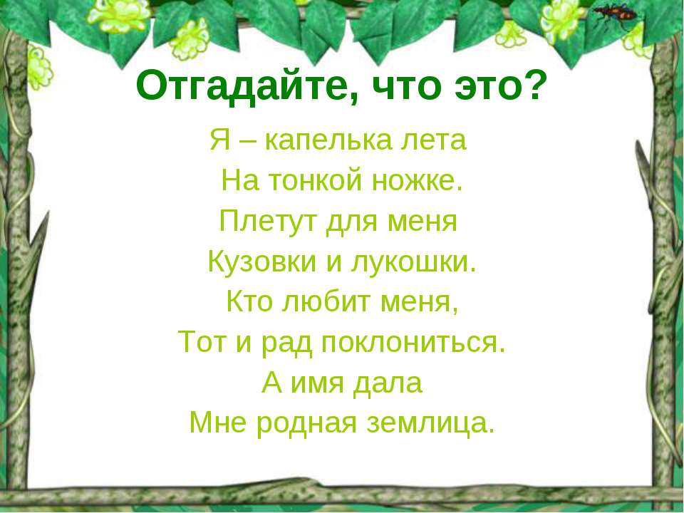 Лето ягодное  - Скачать презентации бесплатно | Читать или скачать учебники для школы онлайн бесплатно ☑ Школьные учебники school-textbook.com