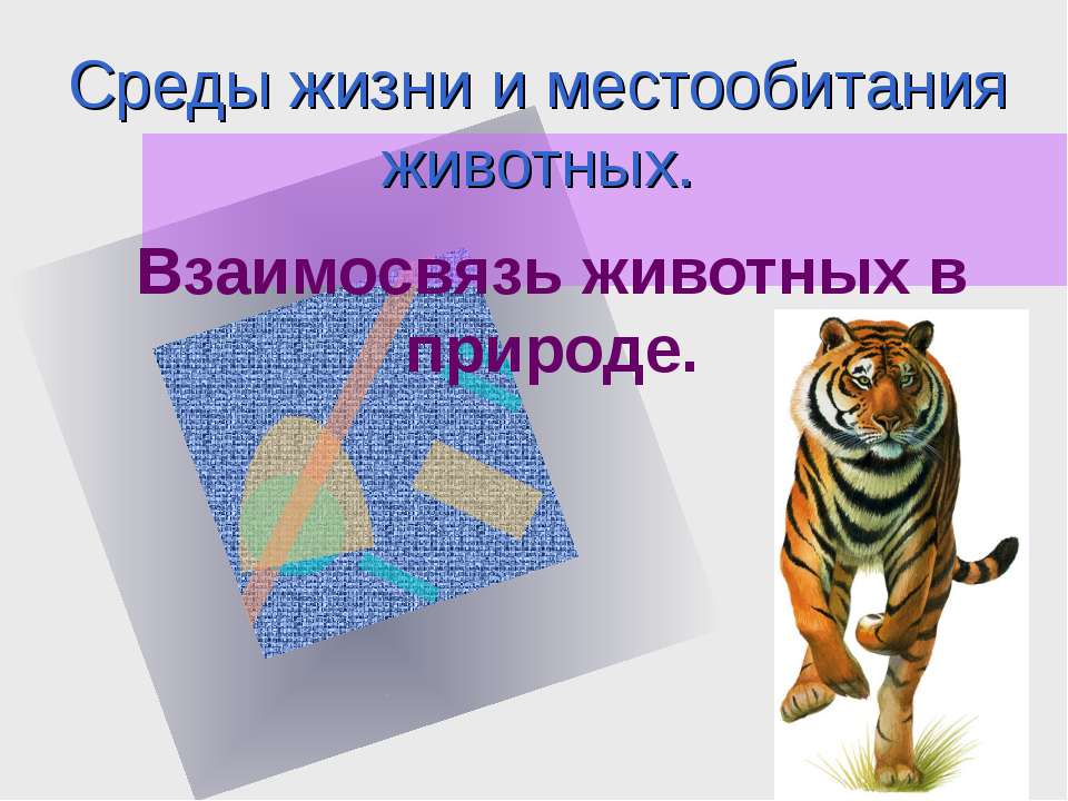 Взаимосвязь животных в природе  - Скачать презентации бесплатно | Читать или скачать учебники для школы онлайн бесплатно ☑ Школьные учебники school-textbook.com