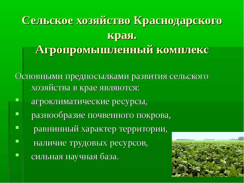 Сельское хозяйство Краснодарского края. Агропромышленный комплекс  - Скачать презентации бесплатно | Читать или скачать учебники для школы онлайн бесплатно ☑ Школьные учебники school-textbook.com
