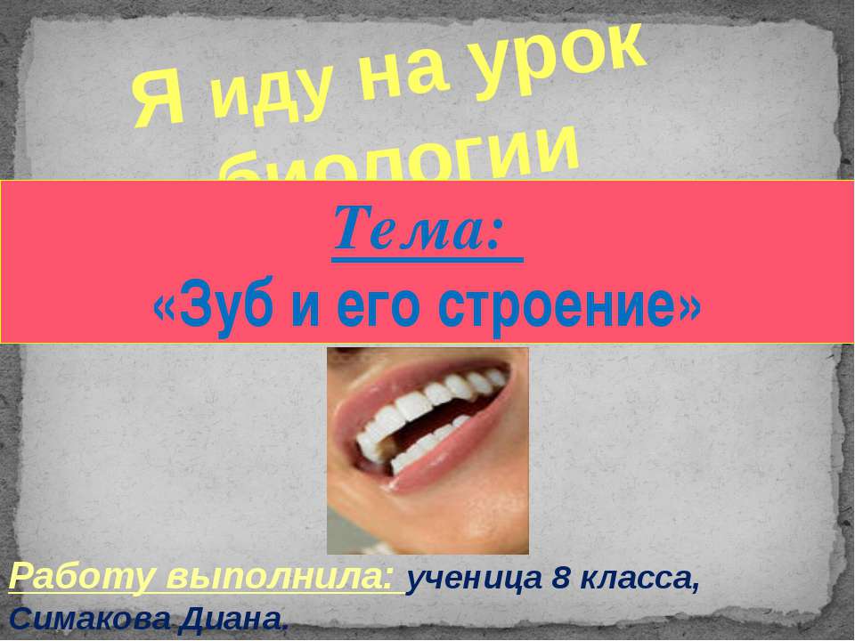 Зуб и его строение  - Скачать презентации бесплатно | Читать или скачать учебники для школы онлайн бесплатно ☑ Школьные учебники school-textbook.com