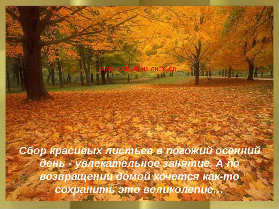 Аппликация из листьев  - Скачать презентации бесплатно | Читать или скачать учебники для школы онлайн бесплатно ☑ Школьные учебники school-textbook.com